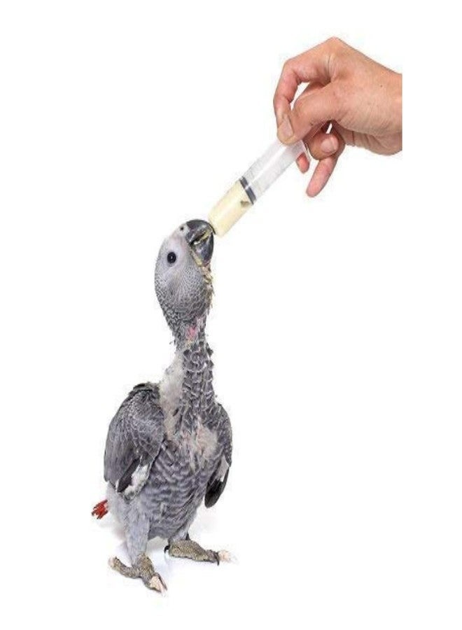 AABHA Hand Feeding Syringe with Red Soft Silicon Tube Suitable for Birds and Other Animals 12 ml Pack of 5 - Image 4